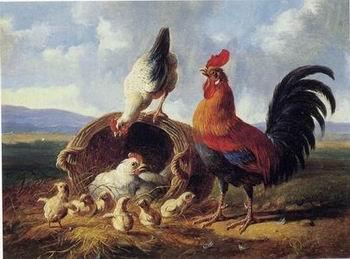 unknow artist Cocks 158 Germany oil painting art